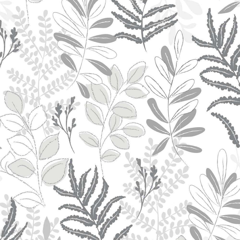 Gray Ferns